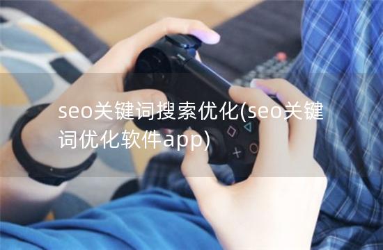 seo关键词搜索优化(seo关键词优化软件app)