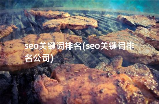 seo关键词排名(seo关键词排名公司)