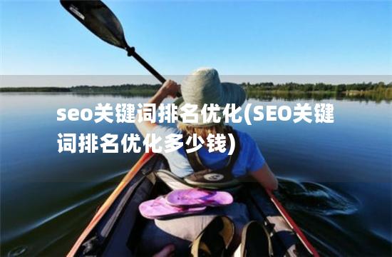 seo关键词排名优化(SEO关键词排名优化多少钱)