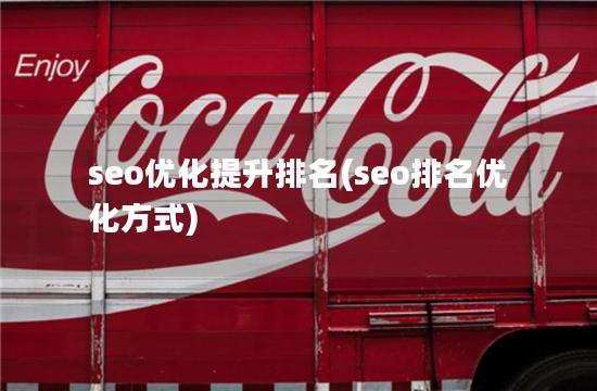 seo优化提升排名(seo排名优化方式)