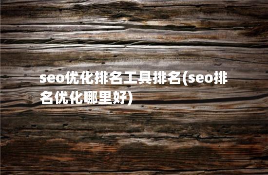 seo优化排名工具排名(seo排名优化哪里好)