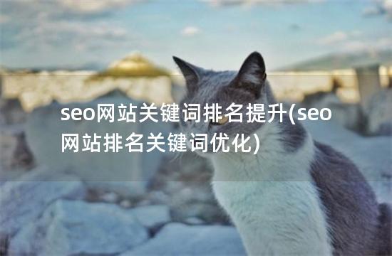 seo网站关键词排名提升(seo网站排名关键词优化)