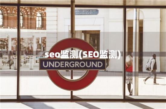 seo监测(SEO监测)