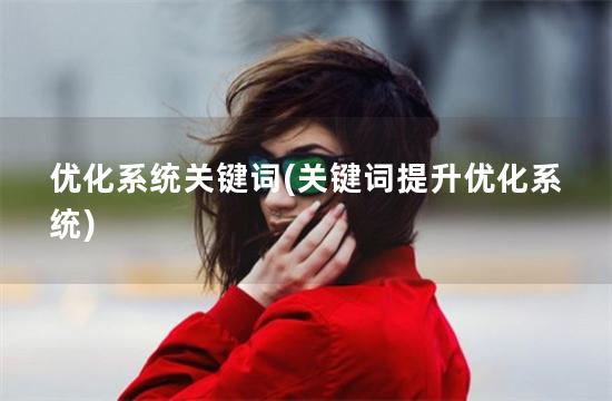 优化系统关键词(关键词提升优化系统)