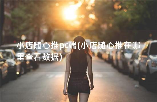 小店随心推pc端(小店随心推在哪里查看数据)