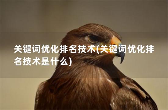 关键词优化排名技术(关键词优化排名技术是什么)