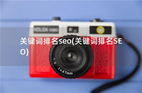 关键词排名seo(关键词排名SEO)