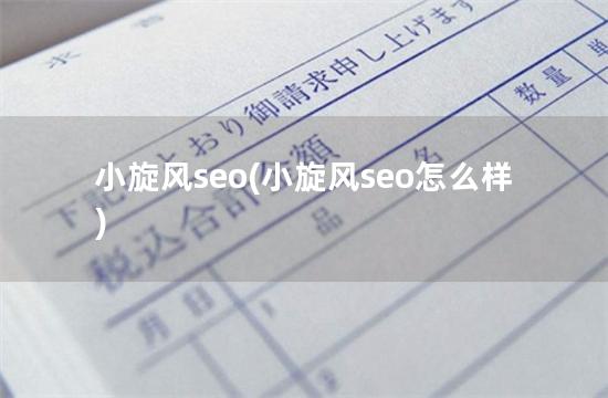 小旋风seo(小旋风seo怎么样)