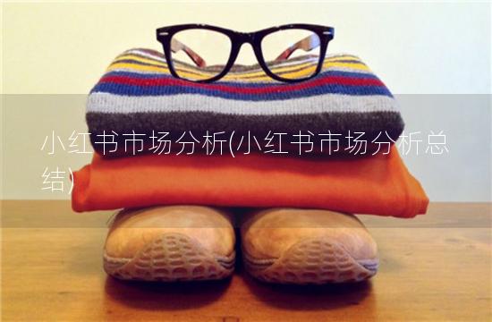 小红书市场分析(小红书市场分析总结)