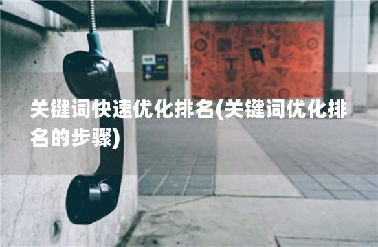 关键词快速优化排名(关键词优化排名的步骤)