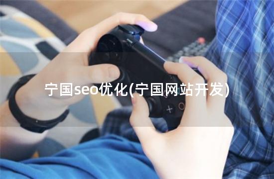 宁国seo优化(宁国网站开发)