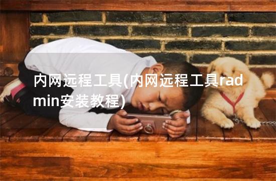 内网远程工具(内网远程工具radmin安装教程)