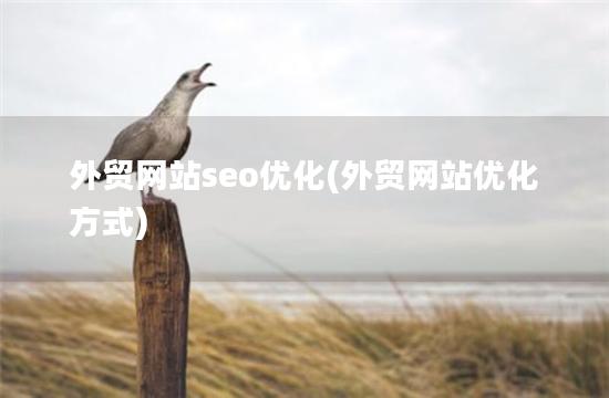 外贸网站seo优化(外贸网站优化方式)