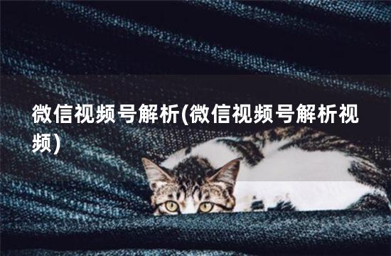 微信视频号解析(微信视频号解析视频)