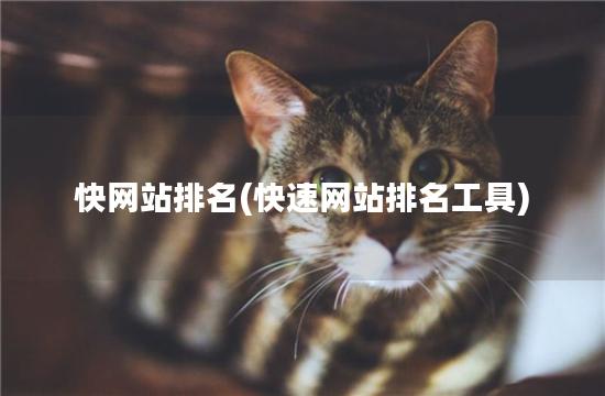快网站排名(快速网站排名工具)