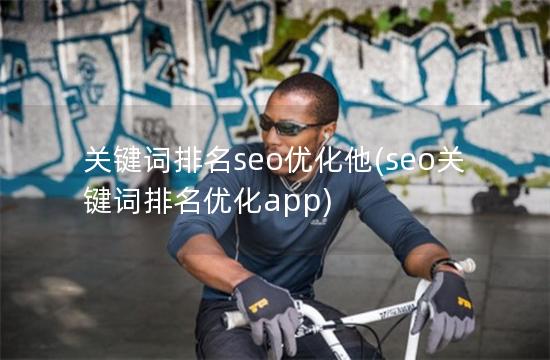关键词排名seo优化他(seo关键词排名优化app)