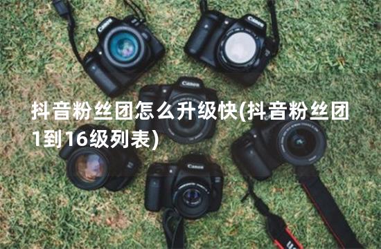 抖音粉丝团怎么升级快(抖音粉丝团1到16级列表)