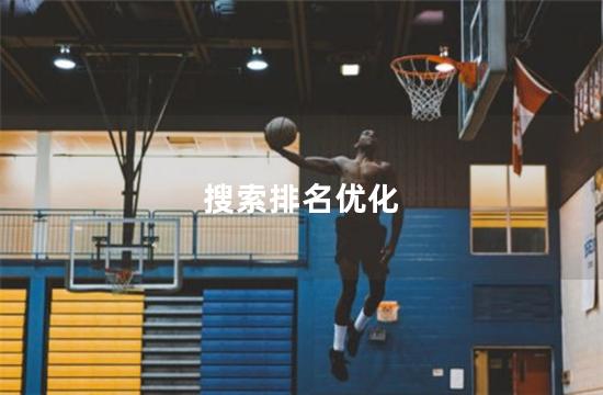 搜索排名优化