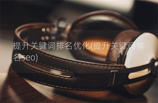 提升关键词排名优化(提升关键词排名seo)