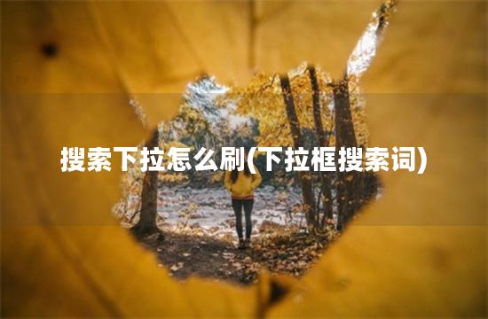 搜索下拉怎么刷(下拉框搜索词)