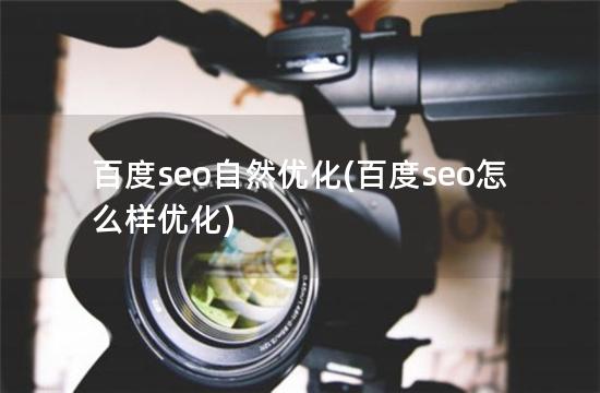 百度seo自然优化(百度seo怎么样优化)