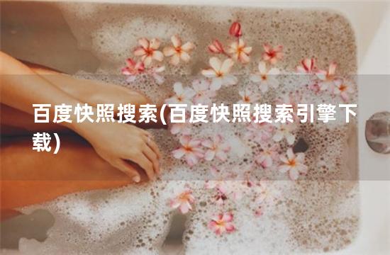 百度快照搜索(百度快照搜索引擎下载)