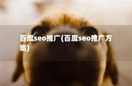 百度seo推广(百度seo推广方案)