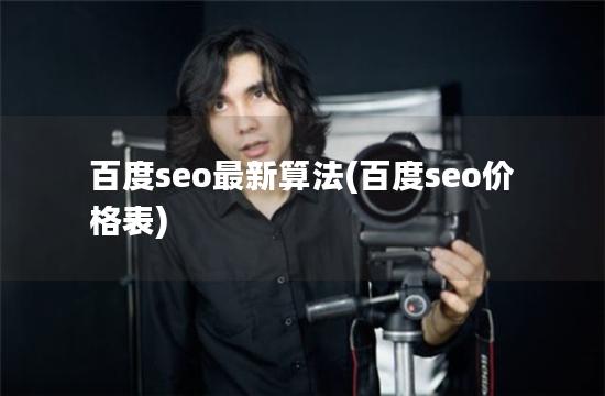 百度seo最新算法(百度seo价格表)