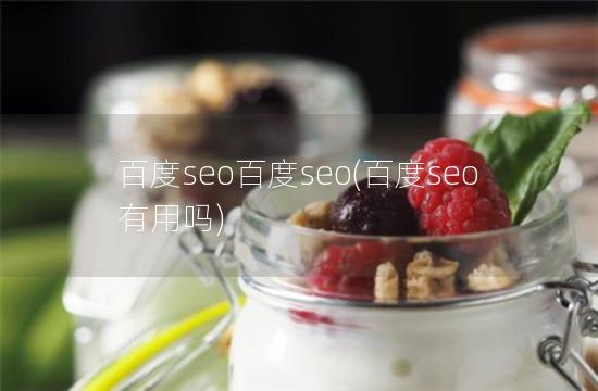 百度seo百度seo(百度seo有用吗)