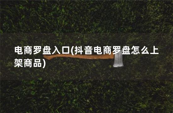 电商罗盘入口(抖音电商罗盘怎么上架商品)