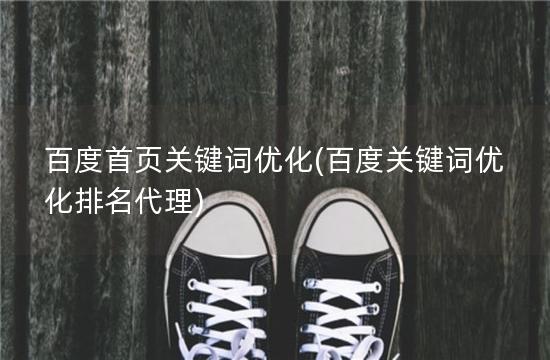 百度首页关键词优化(百度关键词优化排名代理)
