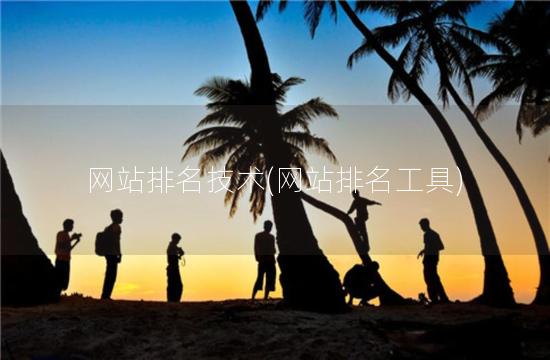 网站排名技术(网站排名工具)