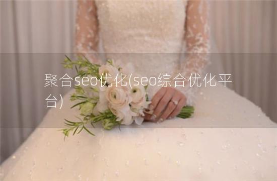 聚合seo优化(seo综合优化平台)