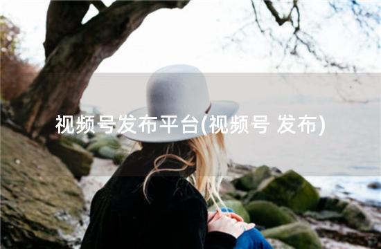 视频号发布平台(视频号 发布)