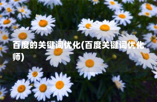 百度的关键词优化(百度关键词优化师)
