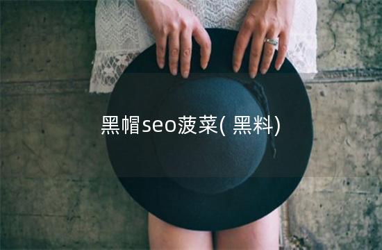 黑帽seo菠菜( 黑料)