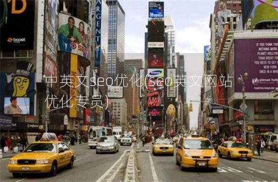 中英文seo优化(seo英文网站优化专员)