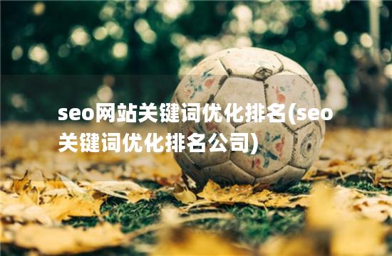 seo网站关键词优化排名(seo关键词优化排名公司)