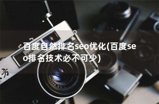 百度自然排名seo优化(百度seo排名技术必不可少)