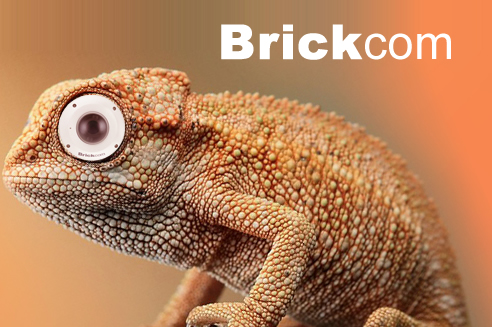  BRICKCOM - 金砖通讯全景摄像机